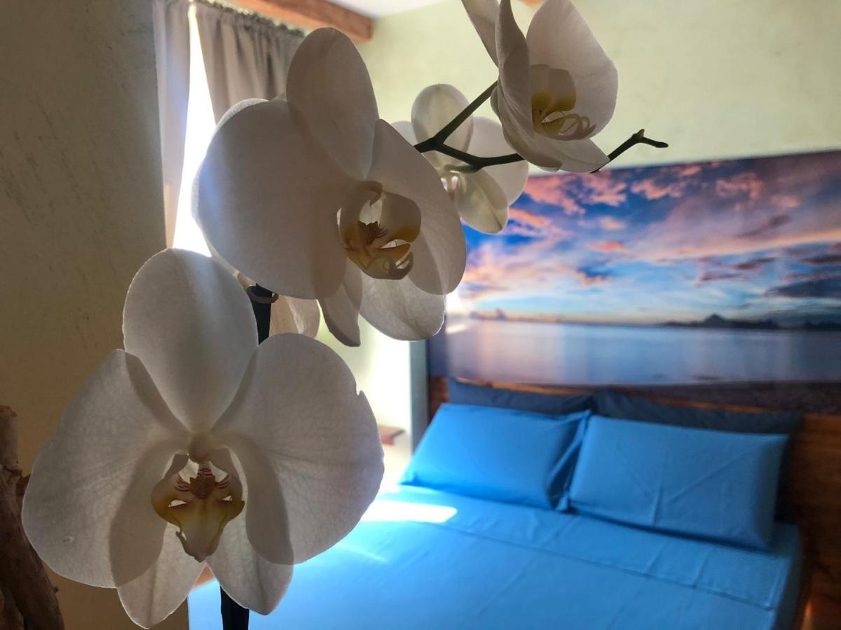 Dream & Relax Villa Fiore 巴里 外观 照片