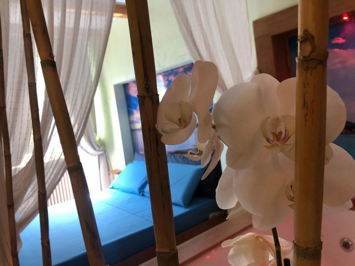 Dream & Relax Villa Fiore 巴里 外观 照片